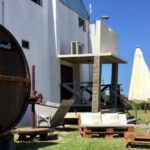 Bodega Familia Dardanelli: Un Viaje a Través de la Tradición Vinícola Uruguaya