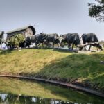 Parque Batlle: Un Oasis en el Corazón de Montevideo