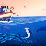 Uruguay frente a la pesca ilegal: tecnología avanzada, voluntad política pendiente